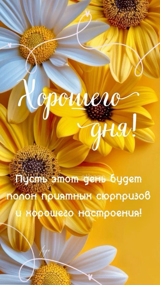 Картинка из сети Интернет 