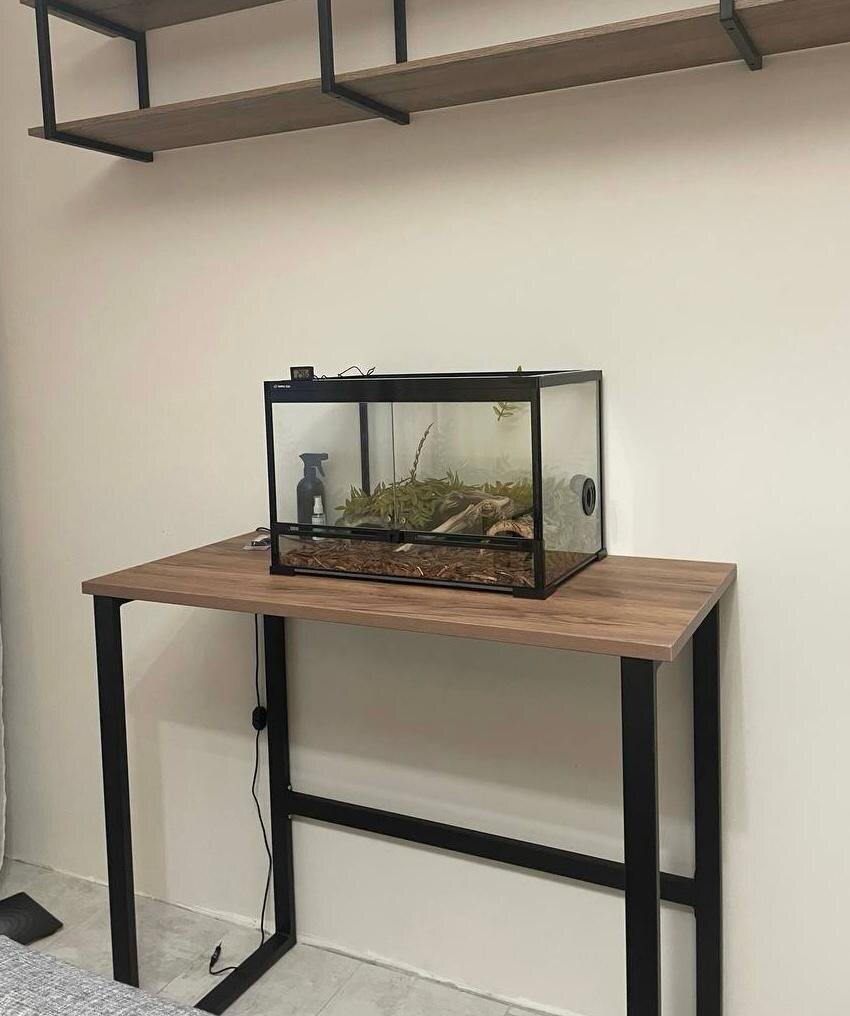 Террариум выглядит необитаемым...