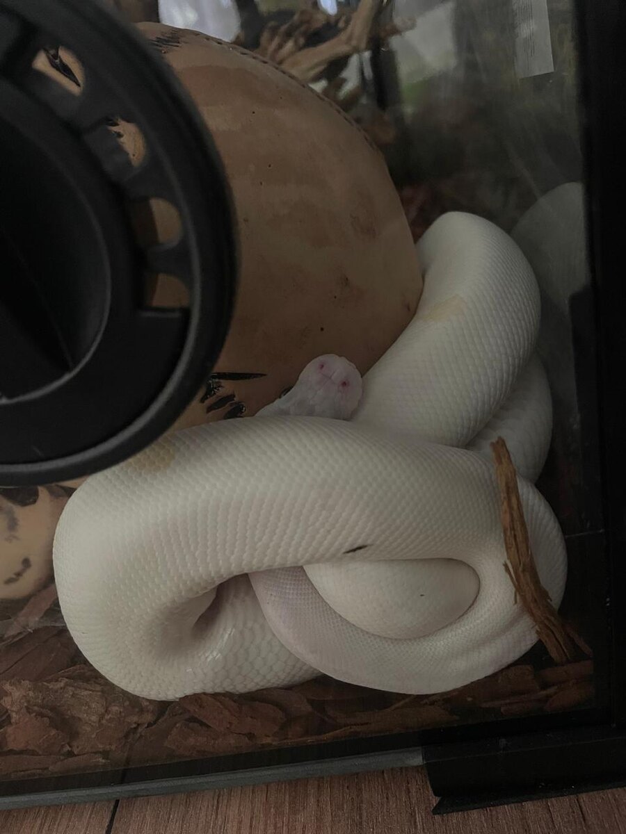 Удобно на максимум:)