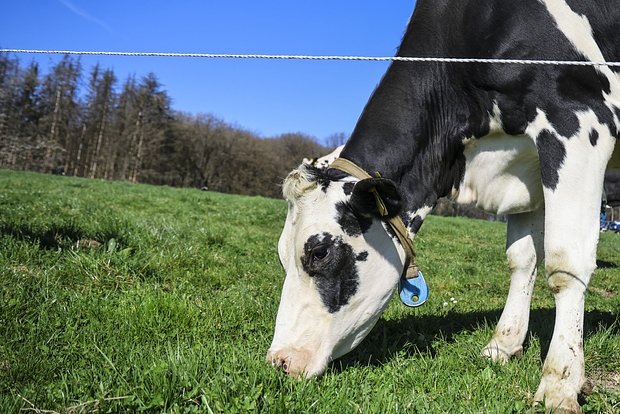    Фото: lenta.ru Георгий