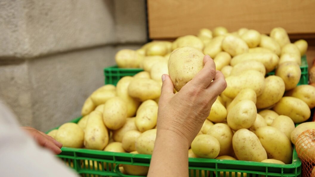    Фото: Царьград