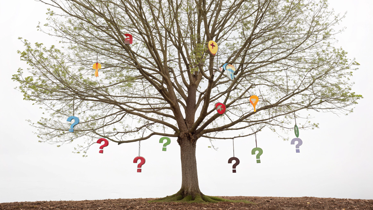 Как принять решение, когда вариантов слишком много:дерево решений