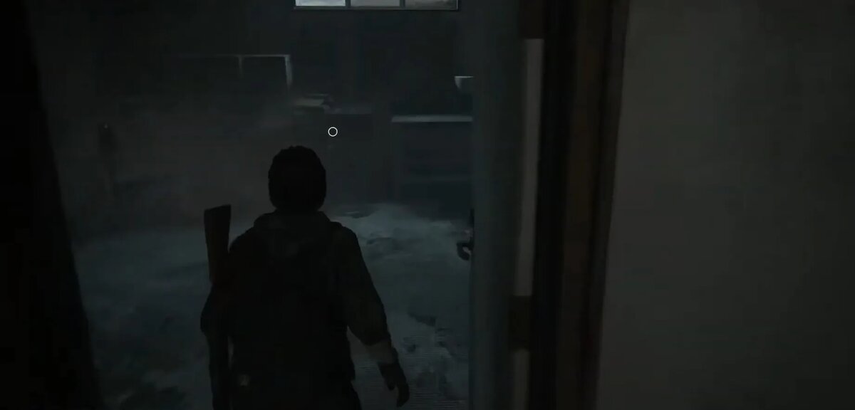 Скриншот из игры The Last of Us Part II   📷