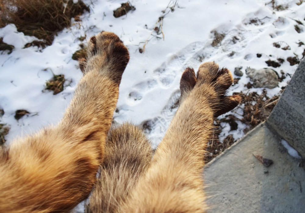 По 4 пальца!