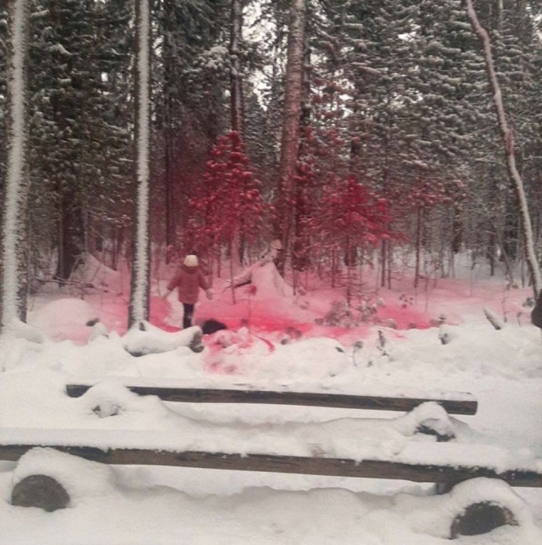 Работники экопарка просят не загрязнять лес. Фото: Лесной комплекс «Ягом»/ ВК