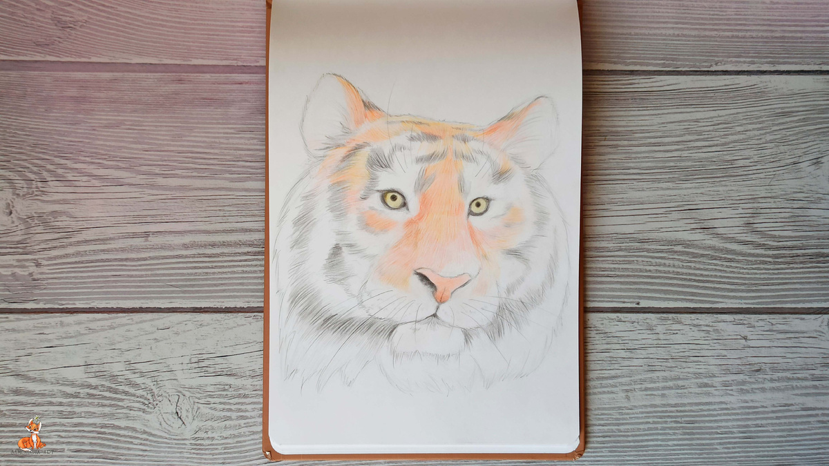 Амурский тигр