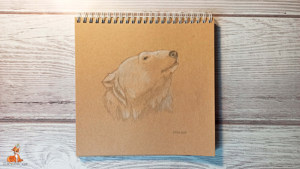 Белый медведь