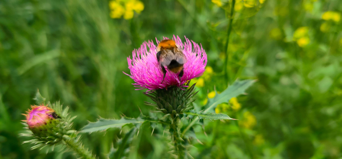 Не ходи туда, тебя там ждут одни неприятности! - Ну как же туда не ходить? Они же ждут! (из мультфильма Котенок по имени Гав) 