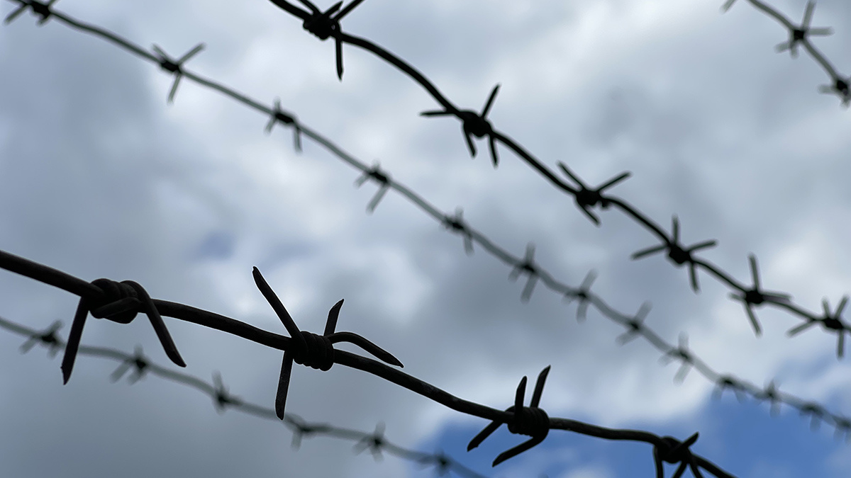    Фото: vm.ru Георгий