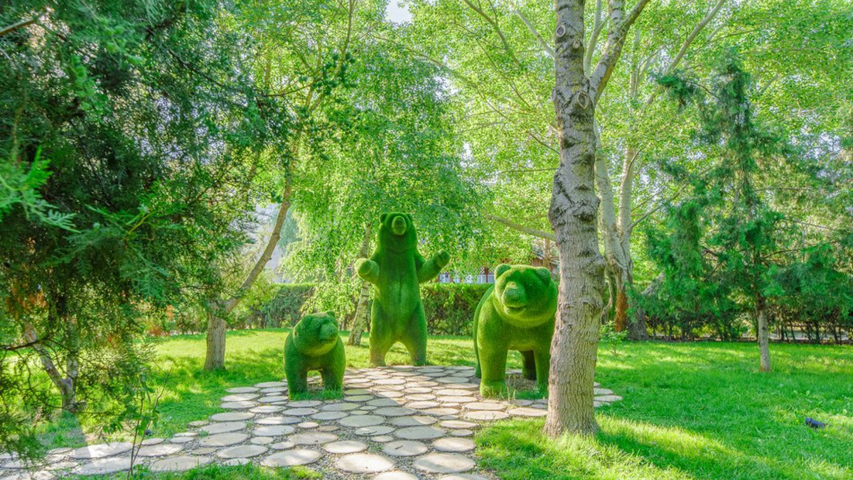 Фото территории отеля «Парус» в Анапе