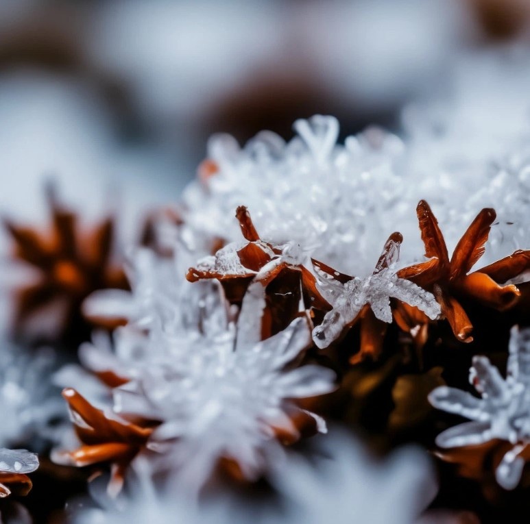 #Астропрогноз на 10-11 апреля 2025. Ключевые аспекты дня