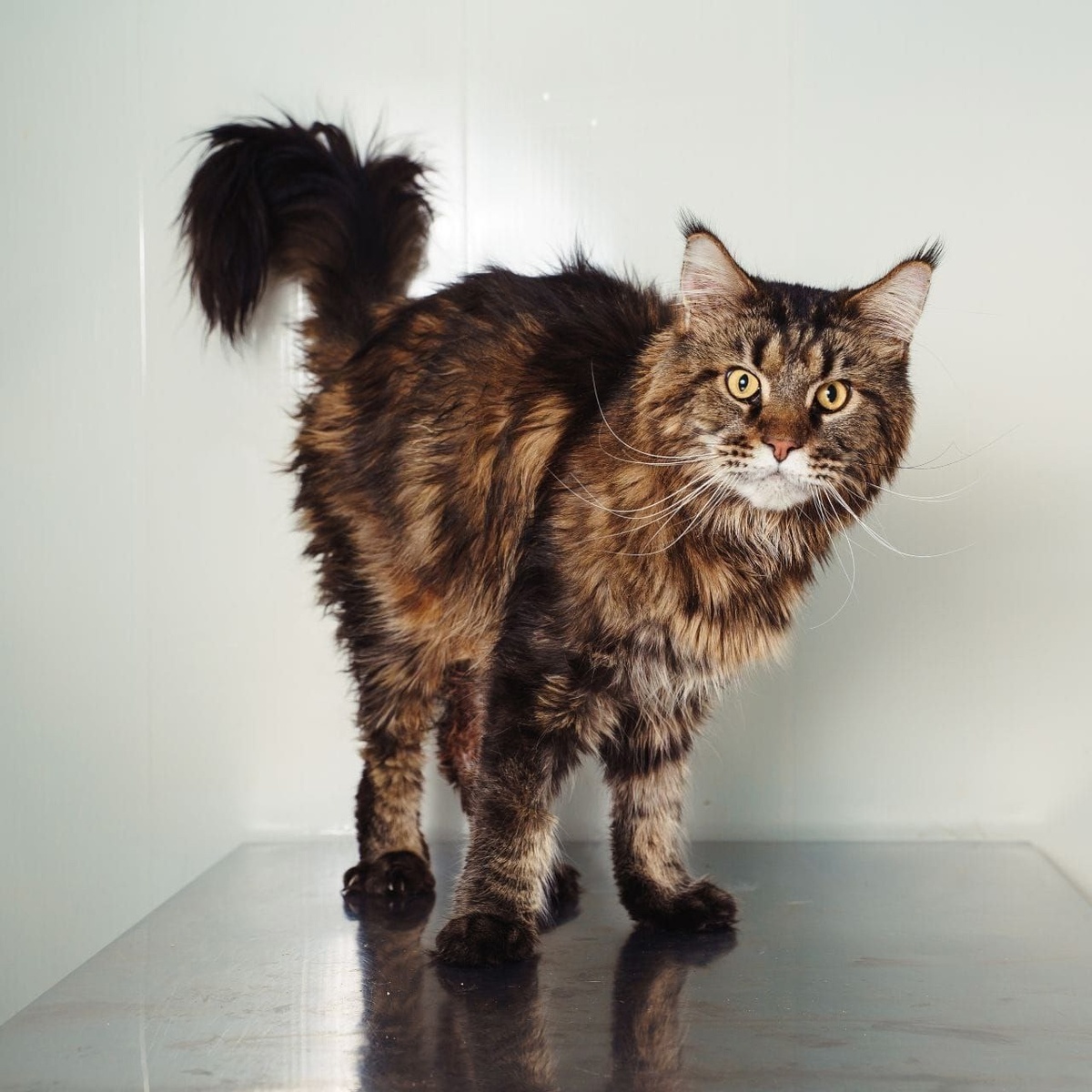 Маркус продолжает верить в людей.