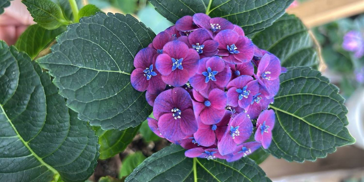 Фото из архива Ольги Кулагиной