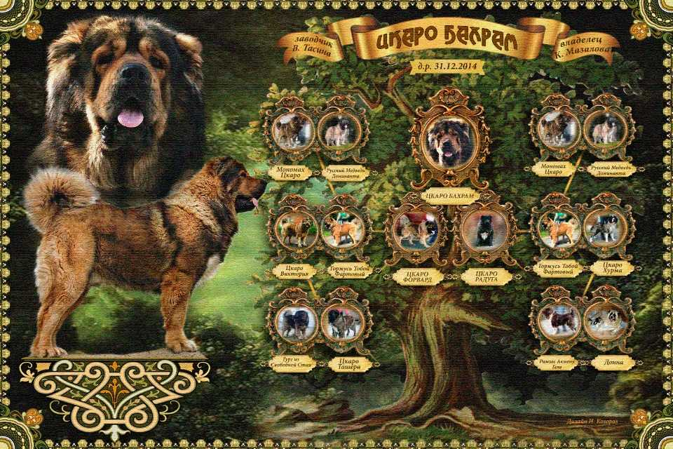 Фото из Яндекса. Спасибо автору. 