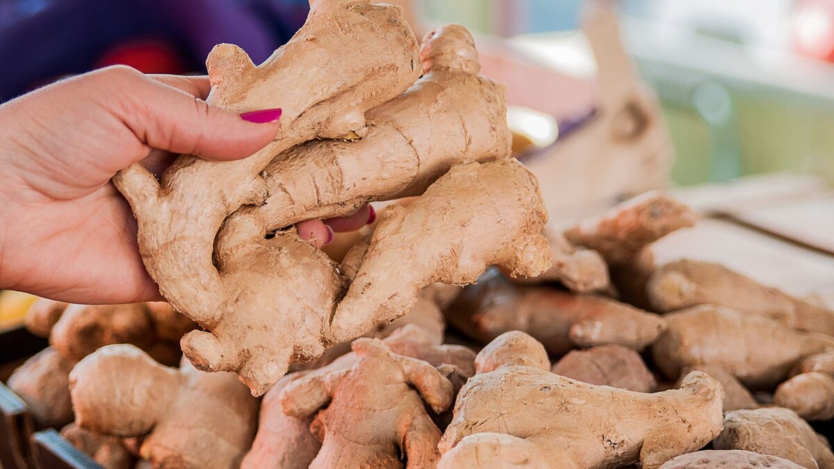    3 шага, как посадить имбирь. Фото: Freepik