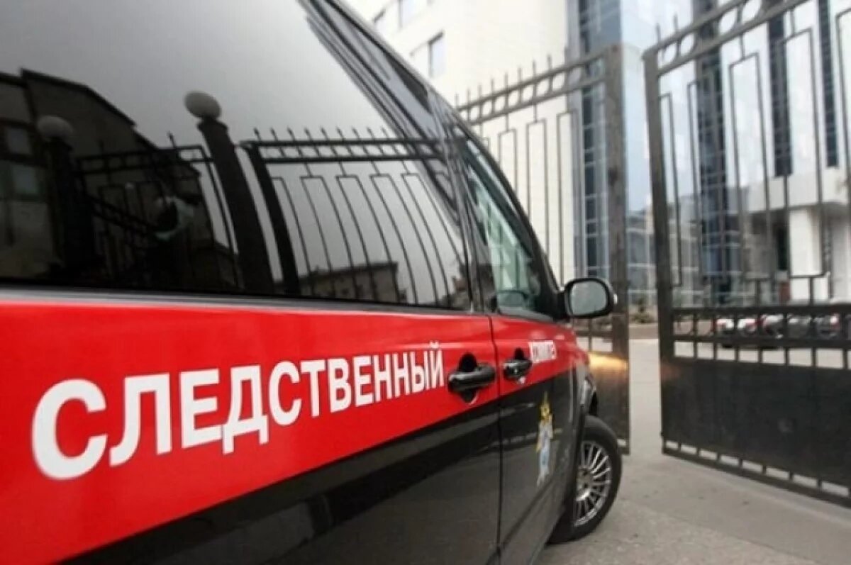    В Подмосковье подростку предъявили обвинение в убийстве 9-летнего мальчика