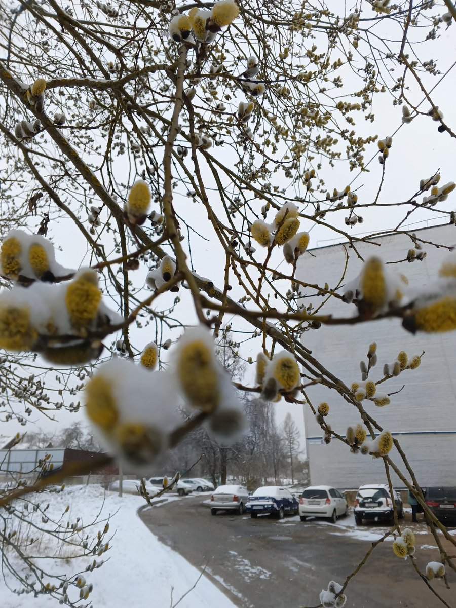 Фото автора