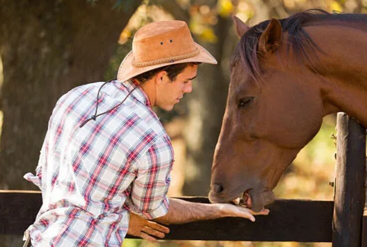 Даём угощение на раскрытой ладони 