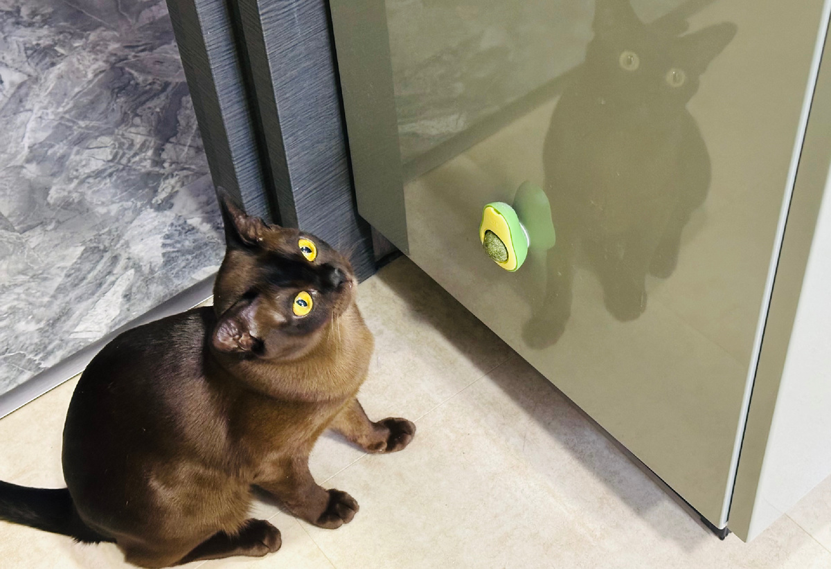 Личное фото автора. Моя любимая Дива