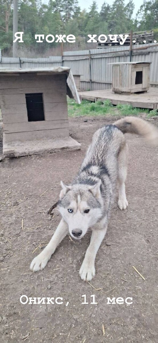 Пока малявочкой никто не интересовался, увы