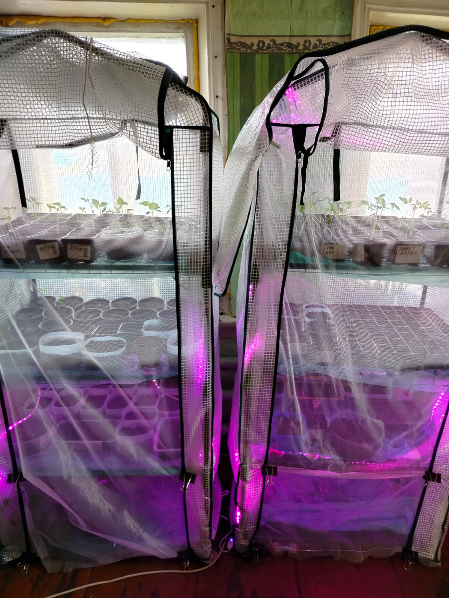 Мои теплицы.