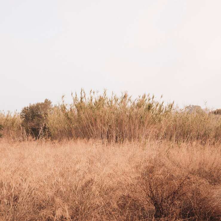    Фото для иллюстрации: freepik "Наша газета"