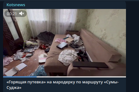    Фото: скриншот Telegram/Kotsnews