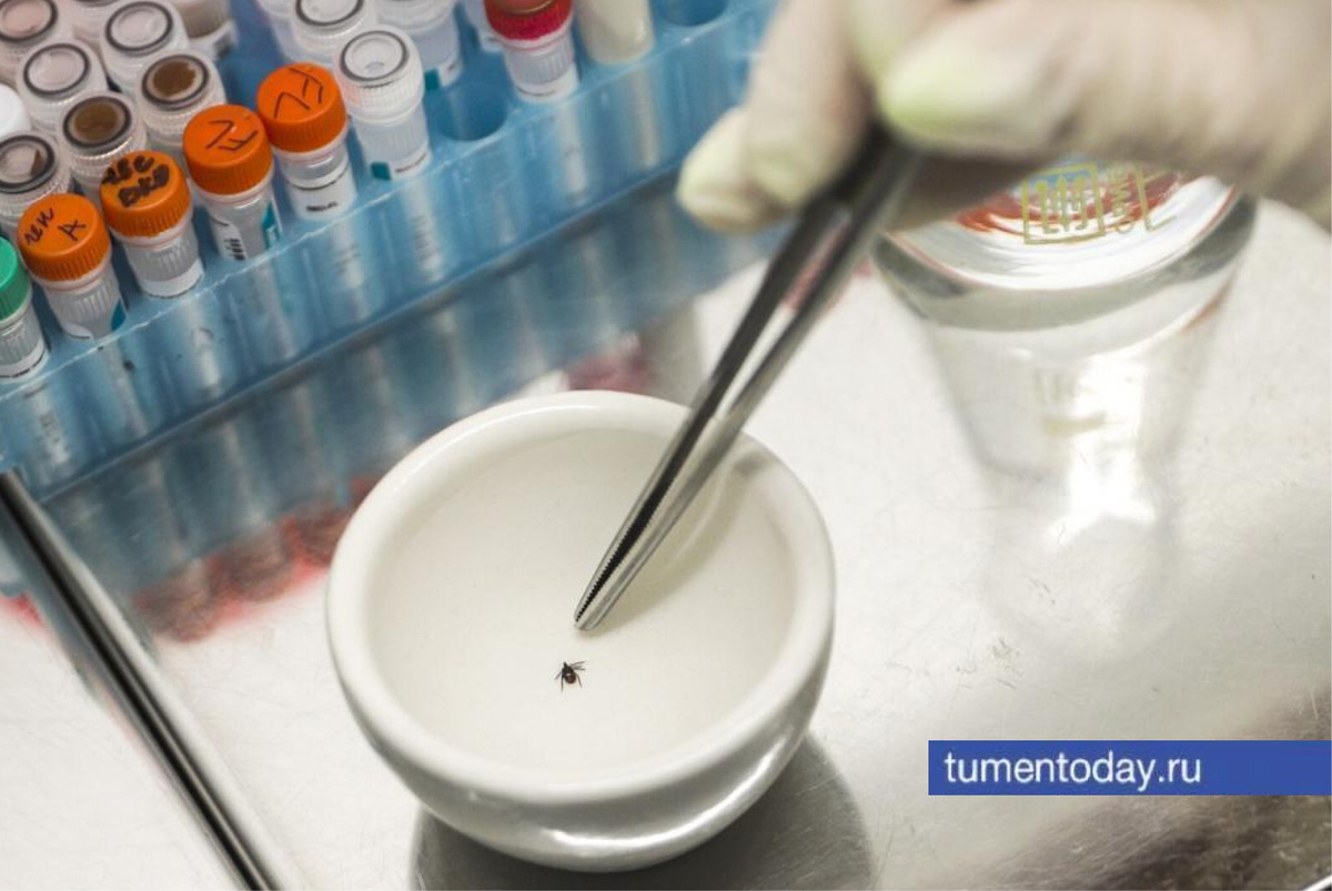 Фото Екатерины Христозовой