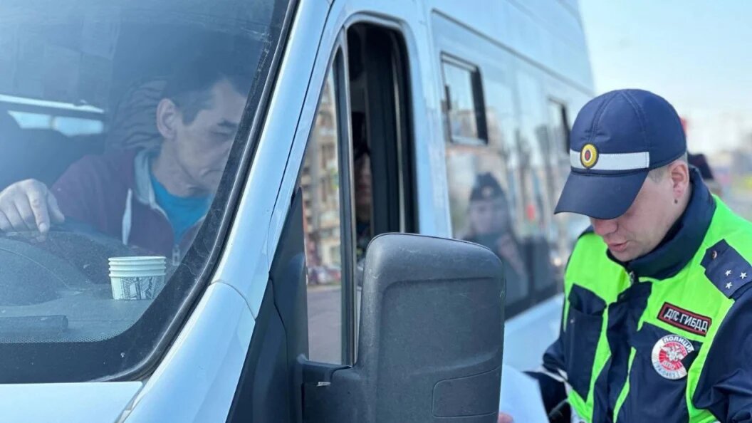    Фото: Госавтоинспекция Челябинской области.