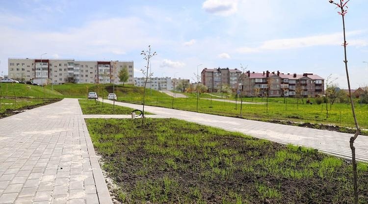 фото из интернета