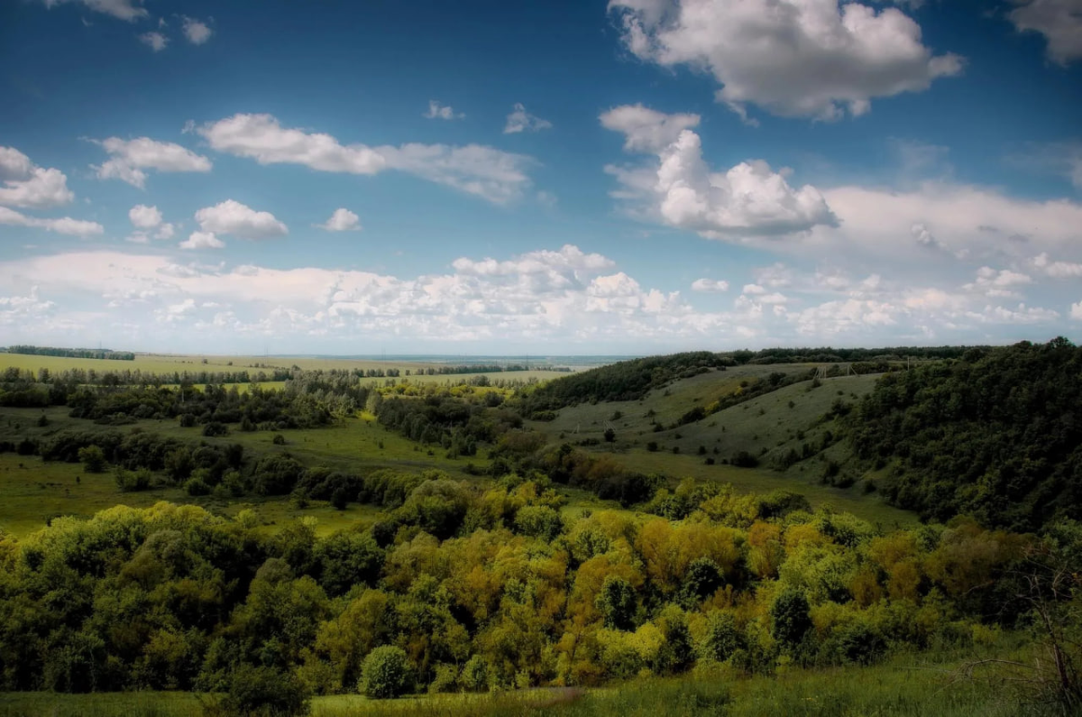 Вид на "Морозов луг" у реки Свишенка со Свишенского бугра. Фото Максима Чурляева.