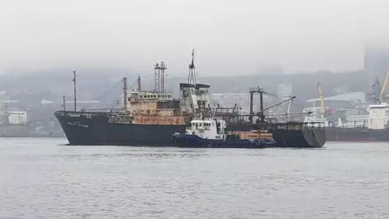     Фото: Национальный оператор научно-исследовательского флота