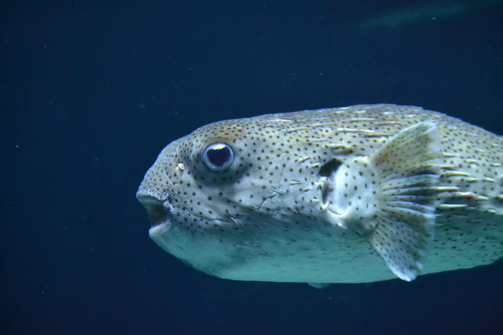 Изображение от Freepik