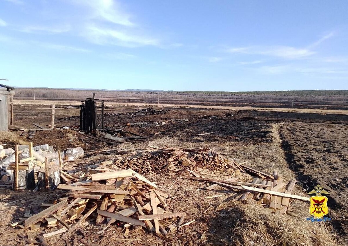    Фото: Пресс-служба УМВД России по Забайкальскому краю   📷   Фото: Пресс-служба УМВД России по Забайкальскому краю