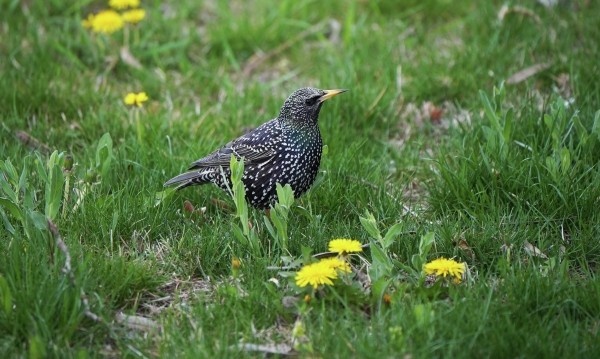Фото: РИА Новости/ Александр Сухов