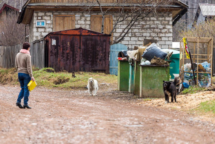    Фото Андрея Заржецкого