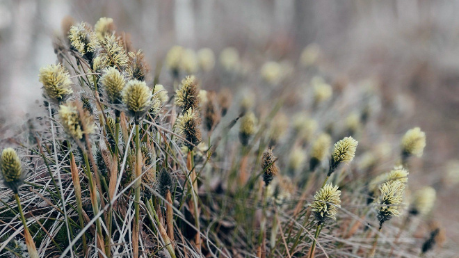 Фото: Павел Глазков