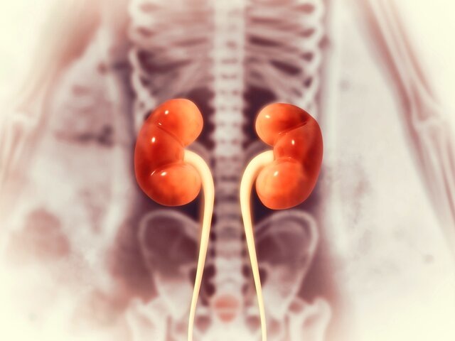    Фото: 123RF/crystallight