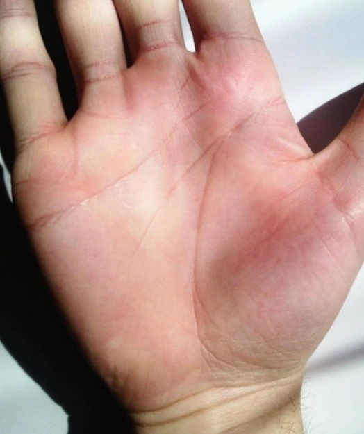 Фото из интернета 