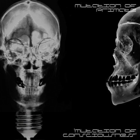 обложка релиза Mutation Of Primate - Mutation of Consciousness