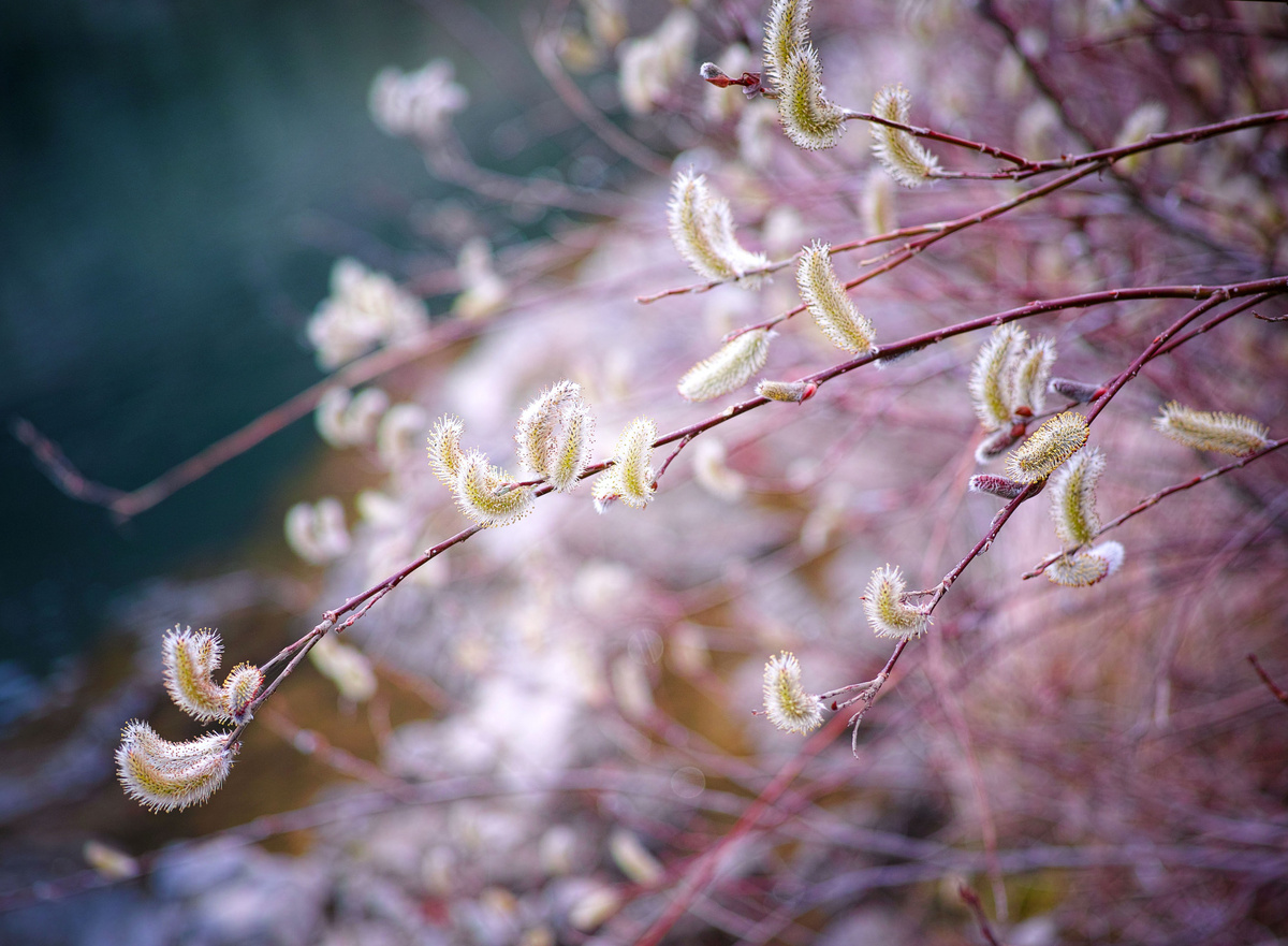 Фото с сайта goodfon.ru