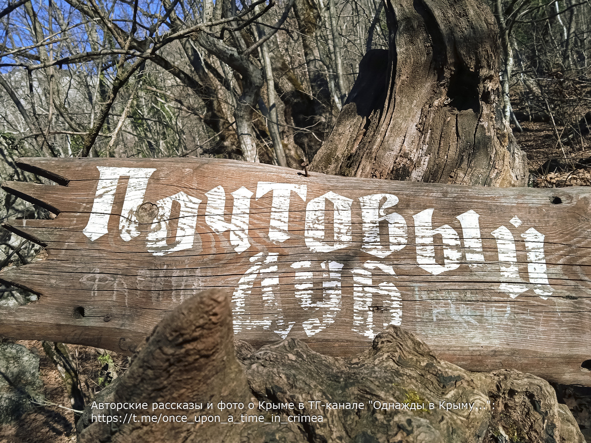 Почтовый дуб в недалеко от Большого каньона, Крым.