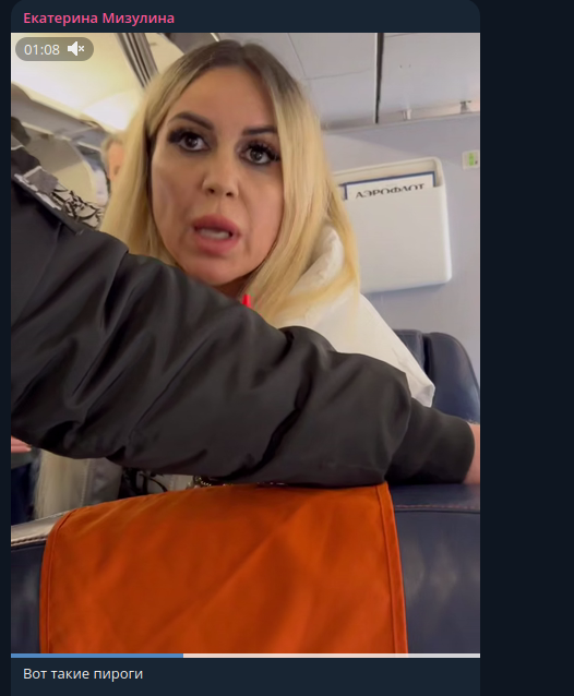    Фото: скриншот Telegram/Екатерина Мизулина