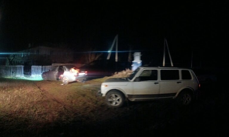    В Первомайском районе в машине обнаружен труп мужчины с ножевым ранением Марина Шарт