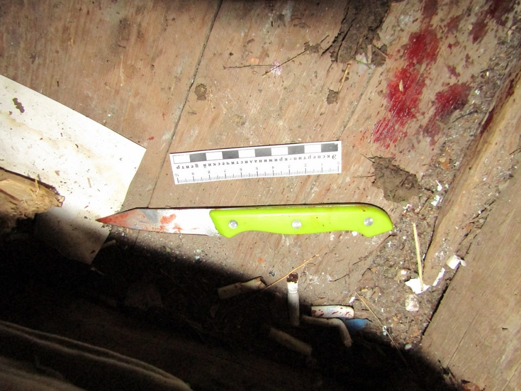    В Первомайском районе в машине обнаружен труп мужчины с ножевым ранением Марина Шарт