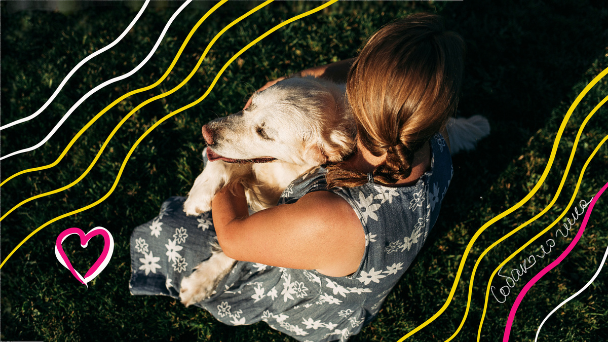 Счастливый День обнимашек с собаками, где каждая лапка приносит радость!