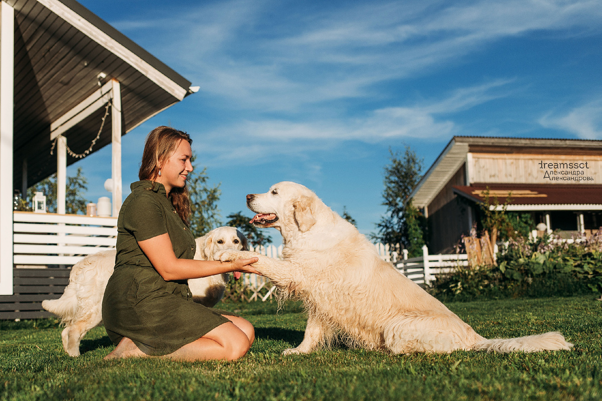 Собачьи объятия — лучший антистресс, а в этот день они становятся ещё ценнее!
