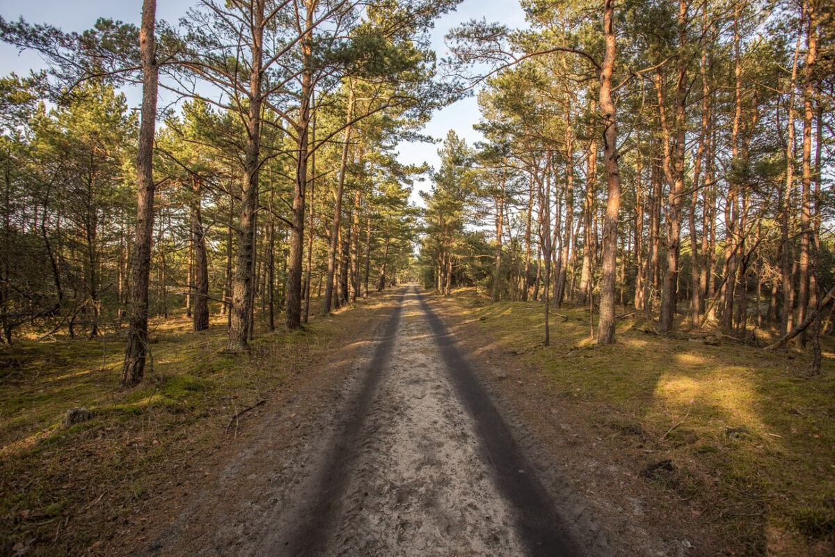    Фото: wirestock/Freepik