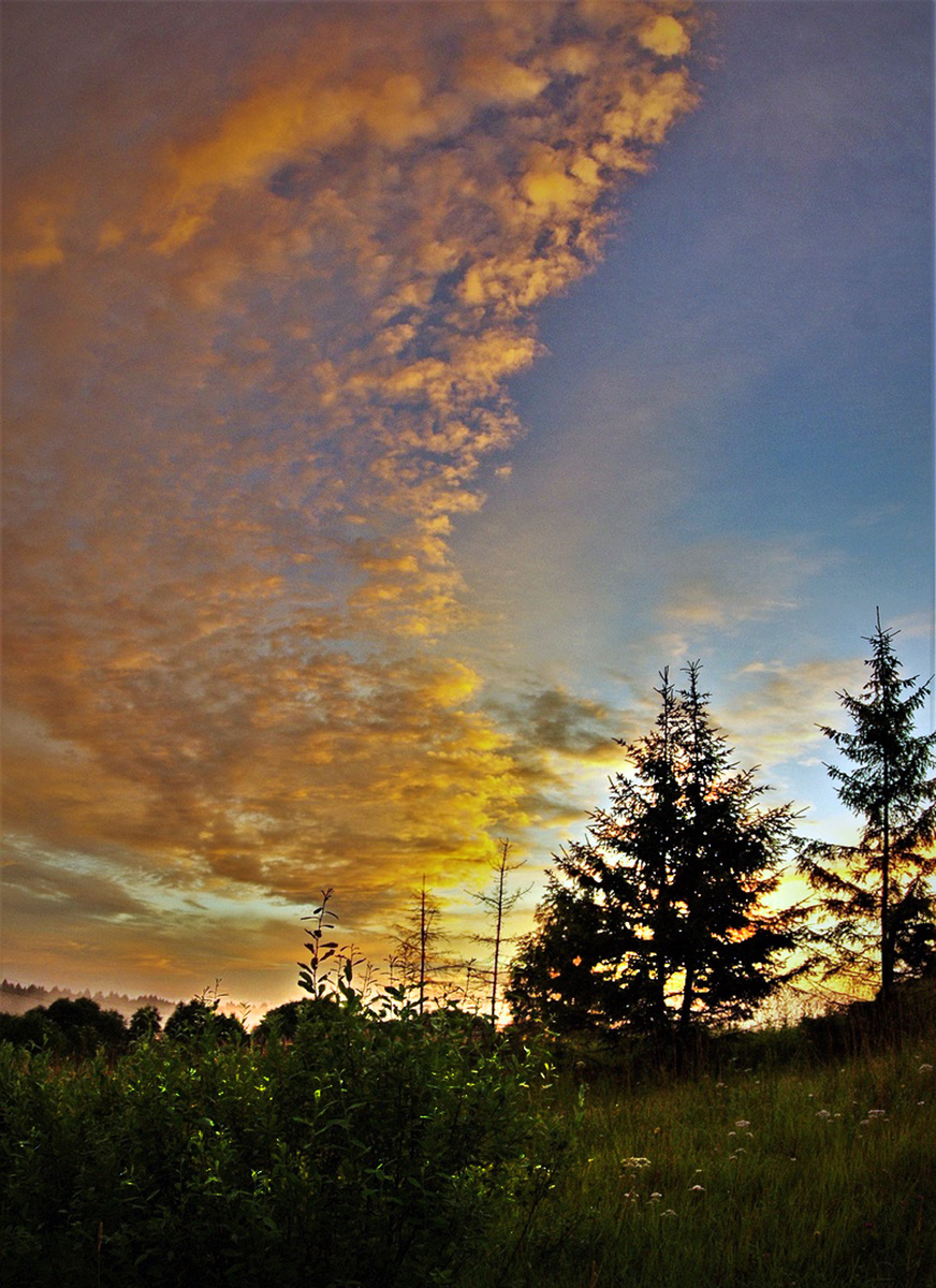 Фото Валерия ТАЛАШОВА.