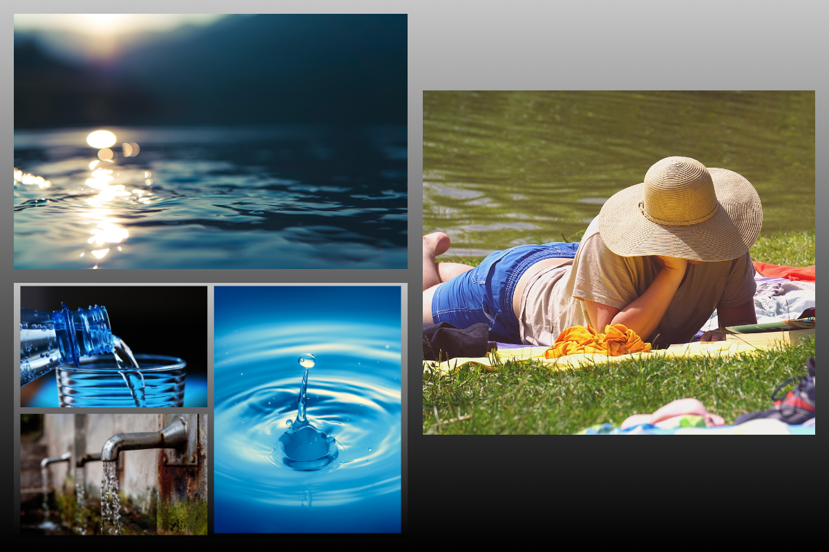 Коллаж/pixabay.com